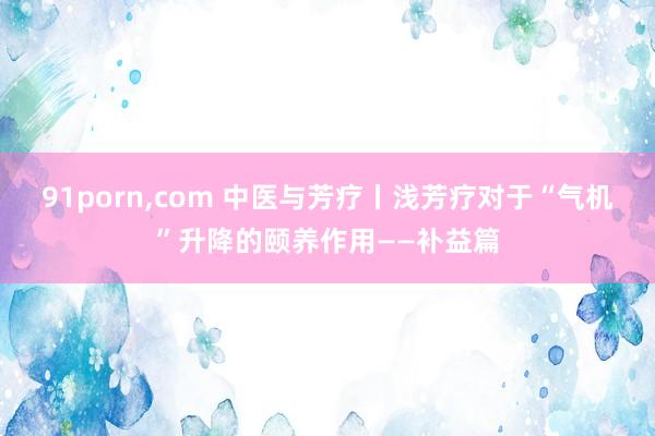91porn，com 中医与芳疗丨浅芳疗对于“气机”升降的颐养作用——补益篇