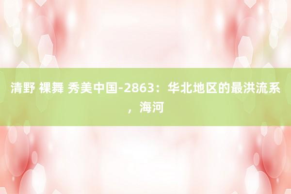 清野 裸舞 秀美中国-2863：华北地区的最洪流系，海河