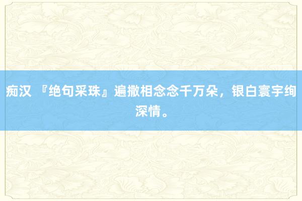 痴汉 『绝句采珠』遍撒相念念千万朵，银白寰宇绚深情。