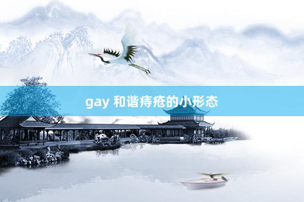 gay 和谐痔疮的小形态