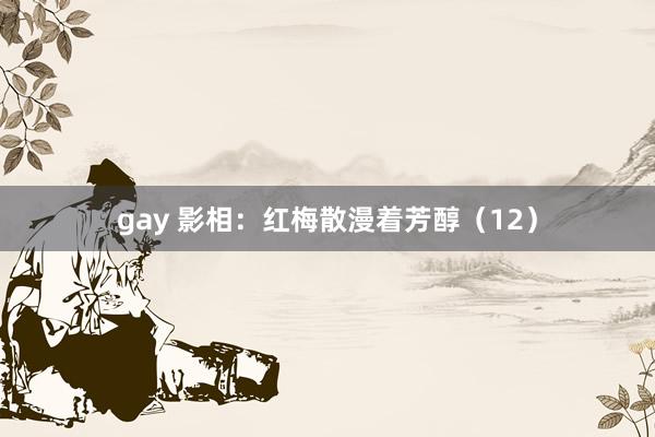 gay 影相：红梅散漫着芳醇（12）