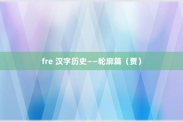 fre 汉字历史——轮廓篇（贾）