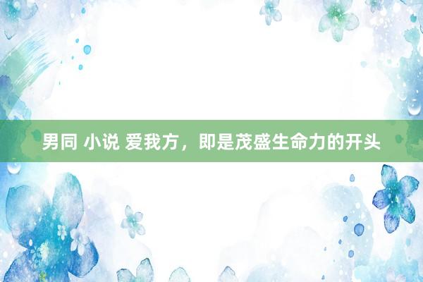 男同 小说 爱我方，即是茂盛生命力的开头
