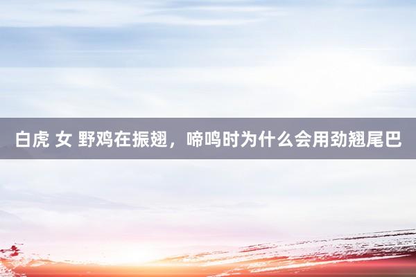 白虎 女 野鸡在振翅，啼鸣时为什么会用劲翘尾巴