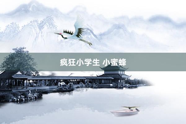 疯狂小学生 小蜜蜂